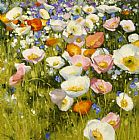 Shirley Novak Sunny Meadow painting